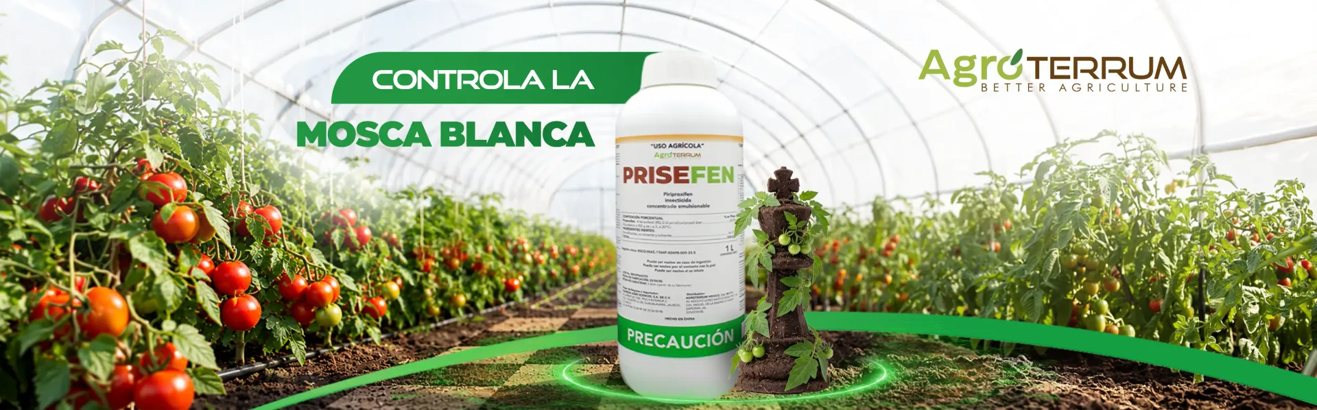 Agroterrum México, productor y distribuidor de agroquímicos para la protección de cultivos